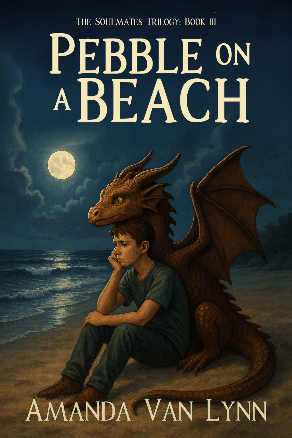 Pebble on a Beach cover